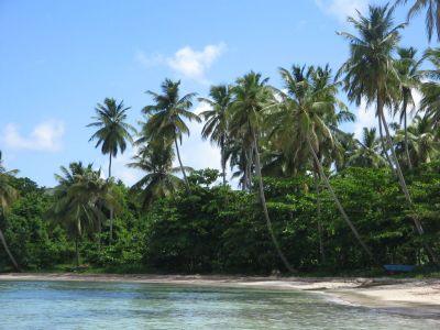 La Playita Las Galeras Samaná República Dominicana